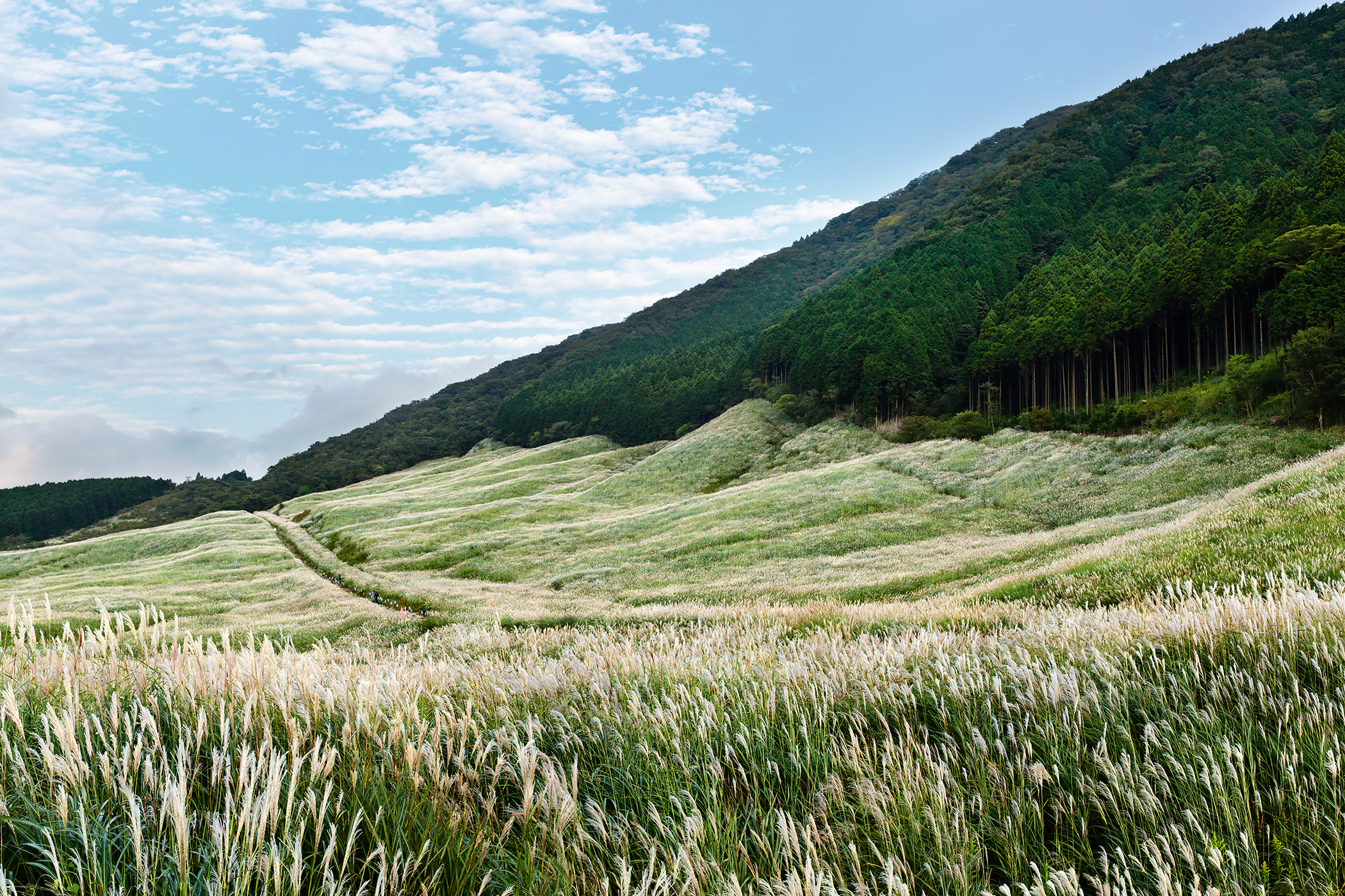 hakone_landview