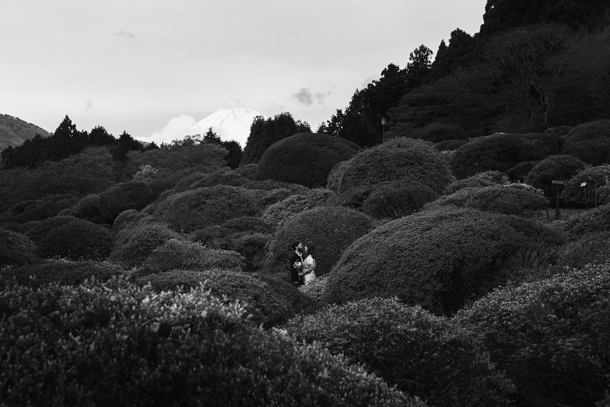 hakone engagement photography